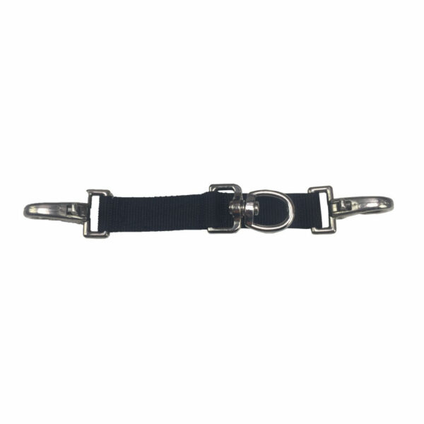 Longierbrille