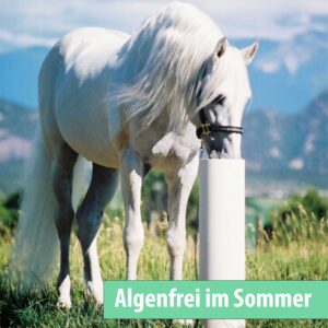 DRINKING POST 1800 für Pferde - Algenfrei im Sommer