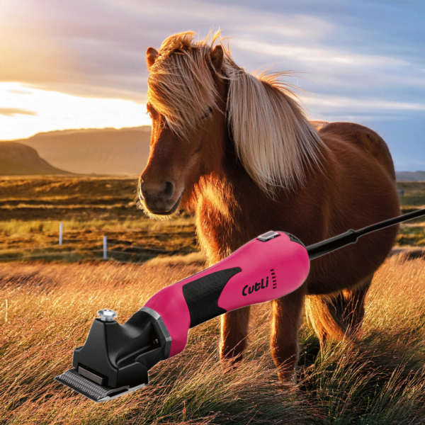 Cutli Robusta pink mit Island Pferd