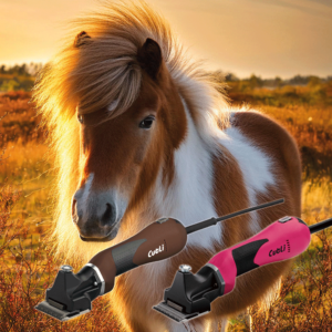 Cutli Robusta pink und braun mit Shetty